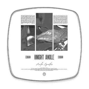 Kubanischer Ritter Anole Eidechse Besitzer Reptilienhalter - Viereckiger Kühlschrankmagnet - Weiß - Vorne