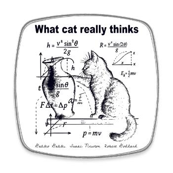 What Cats Really Thinks Funny Cat Physics Humor - Square fridge magnet - white - Front
