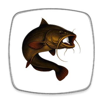 Naturgetreuer Wels für Angler - Viereckiger Kühlschrankmagnet - Weiß - Vorne