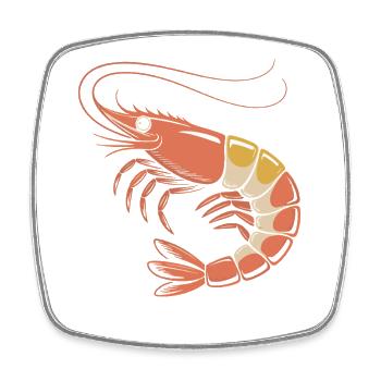 Retro Shrimp Illustration in Orange - Square fridge magnet - white - Front