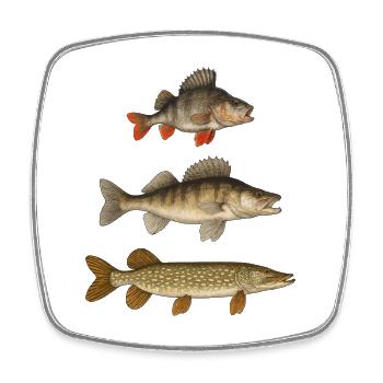 Pike Zander Perch Predatory Fish Fishing Anglers - Square fridge magnet - white - Front
