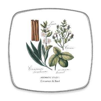 Botanical Art - Cinnamon & Basil - Square fridge magnet - white - Front