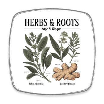 Herbs & Roots – Salbei & Ingwer - Viereckiger Kühlschrankmagnet - Weiß - Vorne