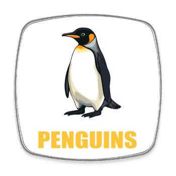 Pinguine Pinguin - Viereckiger Kühlschrankmagnet - Weiß - Vorne