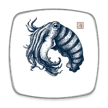 Cuttlefish - Square fridge magnet - white - Front