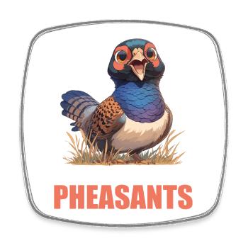 Pheasants Pheasant - Square fridge magnet - white - Front
