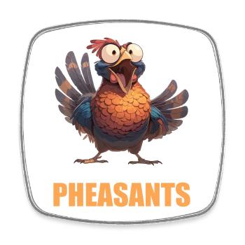 Pheasants Pheasant - Square fridge magnet - white - Front