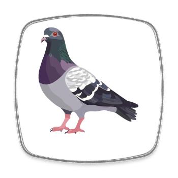 Tauben Taube - Viereckiger Kühlschrankmagnet - Weiß - Vorne