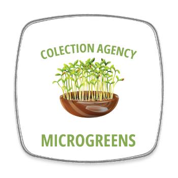 Microgreen Gartenset Sprout Farmer Microgreens - Viereckiger Kühlschrankmagnet - Weiß - Vorne