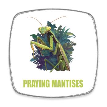 Mantes religieuses Mantes religieuses - Magnet carré - blanc - Devant