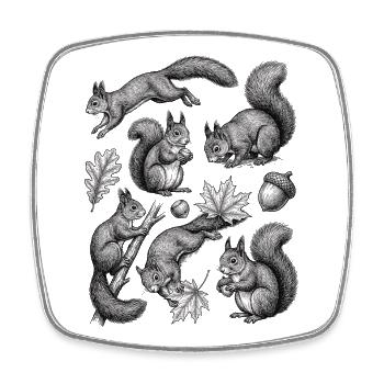 Écureuil Animal mignon pour hommes Femmes Enfants - Magnet carré - blanc - Devant