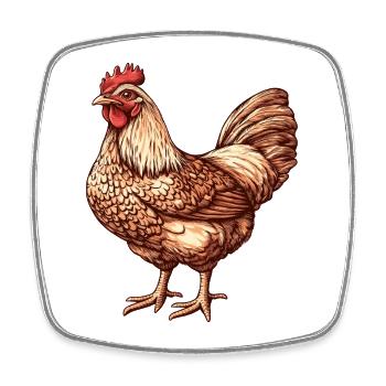 Vibrant Chicken Illustration - Square fridge magnet - white - Front
