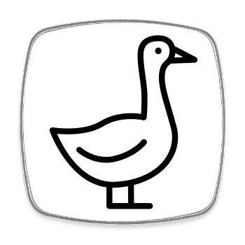 Gans - Viereckiger Kühlschrankmagnet - Weiß - Vorne