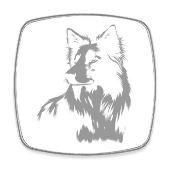 Border Collie Portrait – Kraftvolles Hundemotiv - Viereckiger Kühlschrankmagnet - Weiß - Vorne
