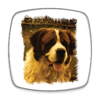 Bernadin Vintage - Square fridge magnet - white - Front