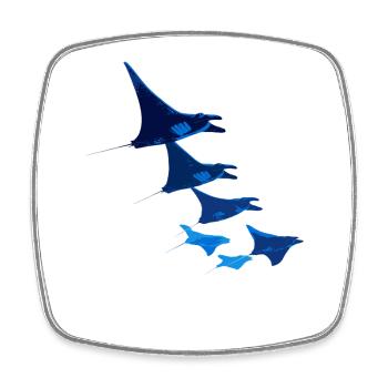Manta Rochen Teufelsrochen Stachelrochen Taucher - Viereckiger Kühlschrankmagnet - Weiß - Vorne