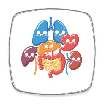 Funny Digestive Organs Cartoon - Square fridge magnet - white - Front