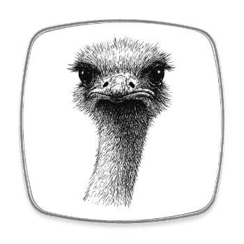 Emu Strauß Portrait - Viereckiger Kühlschrankmagnet - Weiß - Vorne