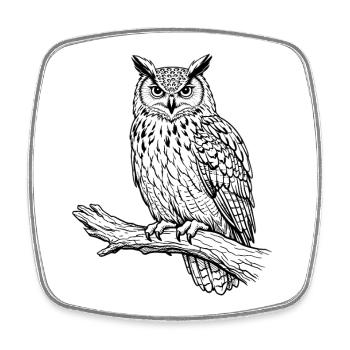 owl on Branch - Square fridge magnet - white - Front