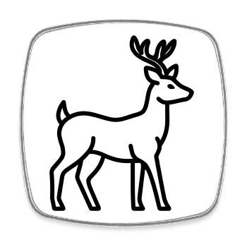 Hirsch - Viereckiger Kühlschrankmagnet - Weiß - Vorne