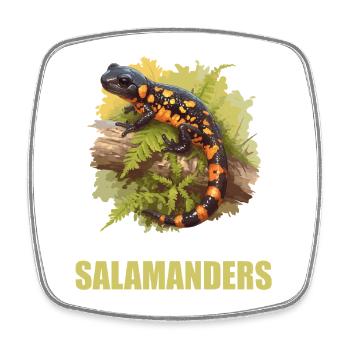 Feuersalamander Salamander - Viereckiger Kühlschrankmagnet - Weiß - Vorne