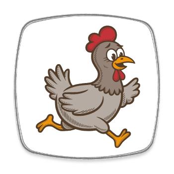 Chicken Running Hen Rooster Running Rooster Running Chickens - Square fridge magnet - white - Front