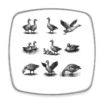 Goose Ensemble Vintage Engraving - Square fridge magnet - white - Front