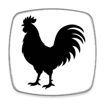 Rooster Silhouette - Square fridge magnet - white - Front