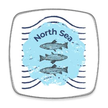 North Sea Fish Trio Shield - Square fridge magnet - white - Front