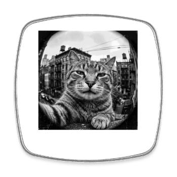 Selfie de chat de rue sympa dans le quartier - Magnet carré - blanc - Devant