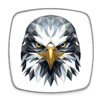 Adler Weißkopfseeadler Steinadler Seeadler Eagle - Viereckiger Kühlschrankmagnet - Weiß - Vorne