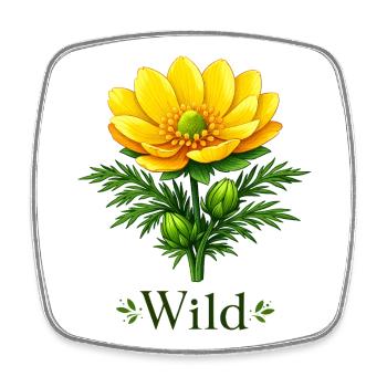 Adonis Beauty Yellow Wildflower Nature Floral Design - Square fridge magnet - white - Front