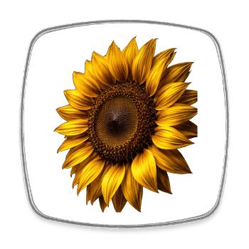 Yellow Sunflowers Flowers Sunflower Graphics - Square fridge magnet - white - Front