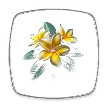 Plumeria-Blume - Viereckiger Kühlschrankmagnet - Weiß - Vorne
