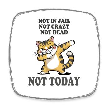 Not Today Funny Cat Sarcasm Design - Square fridge magnet - white - Front