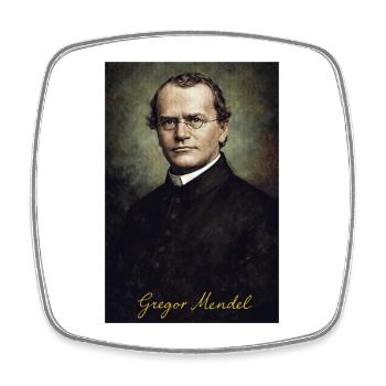 Gregor Mendel – Genetik Porträt Vintage - Viereckiger Kühlschrankmagnet - Weiß - Vorne