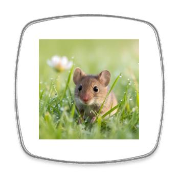 Field Mouse Wildlife Grass Wildflower Design - Square fridge magnet - white - Front