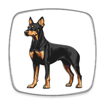 Doberman - Square fridge magnet - white - Front
