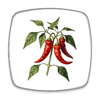 Botanische rote Paprika - Viereckiger Kühlschrankmagnet - Weiß - Vorne