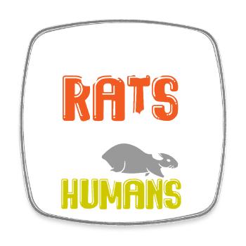 Rat, house rat, rat owner, rat lover - Square fridge magnet - white - Front