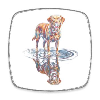 Labrador Retriever mit Wasserreflexion - Viereckiger Kühlschrankmagnet - Weiß - Vorne