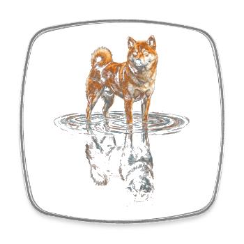 Shiba Inu mit Wasserspiegelung - Viereckiger Kühlschrankmagnet - Weiß - Vorne