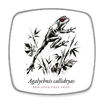 Red Eyed Tree Frog Rainforest - Square fridge magnet - white - Front