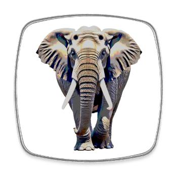 Éléphant - Magnet carré - blanc - Devant