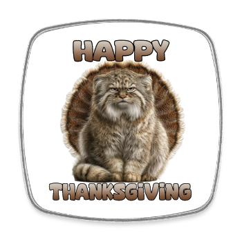 Pallas Cat Thanksgiving Manul Cat Funny Cat - Square fridge magnet - white - Front