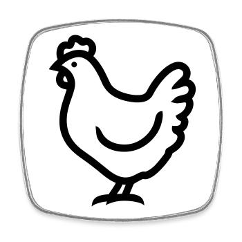 Huhn - Viereckiger Kühlschrankmagnet - Weiß - Vorne