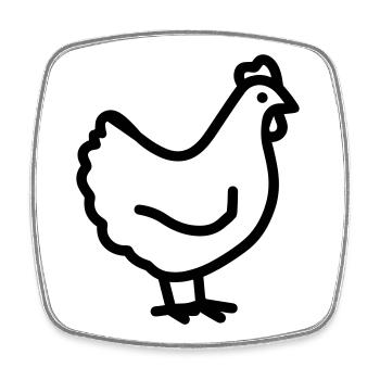 Huhn - Viereckiger Kühlschrankmagnet - Weiß - Vorne