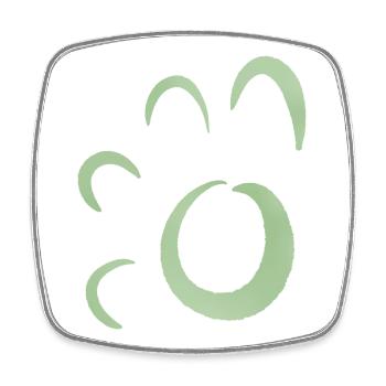 Résumé de l’Anneau Solaire Vert - Magnet carré - blanc - Devant