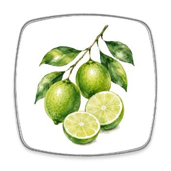Limetten Aquarell Frische - Viereckiger Kühlschrankmagnet - Weiß - Vorne