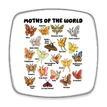 Moths of the World Kawaii Table Entomology - Square fridge magnet - white - Front
